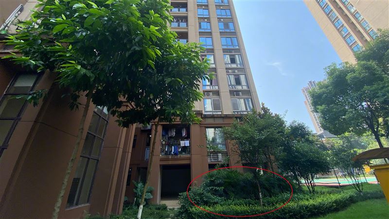 2歲小姊弟慘墜15樓…竟是爸爸親手摔的