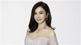 陳美鳳（圖／LiTV、皇宣緣提供）