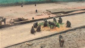 六福村(林務局提供)