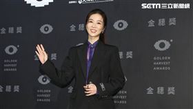 謝盈萱出席第45屆金穗獎頒獎典禮。（圖／記者楊澍攝影）