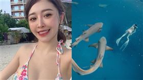 鯊魚,謝侑芯,馬爾地夫,潛水,意外,咬,
irisirisss168