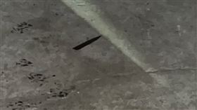 母親節,殺人,五金,合夥,水果刀,五股,凌雲路,新北