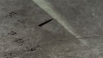 被趕出經營團隊不爽　鬧事被老闆1刀刺死