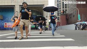 車禍,汽車撞行人,台南市中西區,忠義路,女童,路權,斑馬線