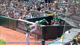 ▲彼德森（Jace Peterson）接殺界外球跌進牛棚。（圖／翻攝自MLB官網）