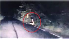 ▲台東劉姓男子深夜開車行經鐵路橋下，突遇半裸年輕女子蹲在路旁。（圖／擷取自Facebook社團台東大小事(112年)）
