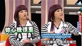 （圖／翻攝自我愛貓大YouTube）