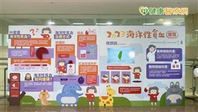 台灣關懷地中海型貧血協與中山醫學大學附設醫院合作，於5/15(一)至5/26(五)開設為期兩週的衛教展覽，期待透過大眾的理解與支持，讓病友們更有勇氣面對治療歷程！