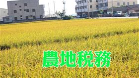 農地移轉予自然人，應如何申辦不課徵土地增值稅？（圖／資料照）