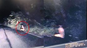 長髮女,冤情,地縛靈,台東,靈異(翻攝自 台東人大小事)