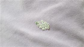 原PO衣服上看見荔枝椿象的卵。（圖／翻攝自《爆廢公社》）