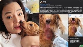 小甜甜。（圖／翻攝自臉書）