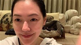 小S使用多年的帆布包，至今仍捨不得更換。（圖／翻攝自IG@elephantdee）