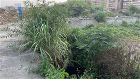 新北市，泰山，塭仔圳，水坑，浮屍