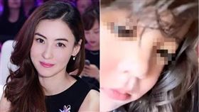 張柏芝,謝霆鋒,Lucas,Quintus,Marcus,兒子,戴碧芝