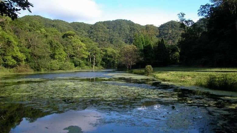 福山植物園收2次恐嚇　稱要隨機砍人直播