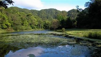 強颱薔琵逼近　福山植物園休園3天補償曝
