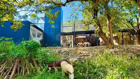 高雄,壽山動物園,水豚,陳其邁,黃捷