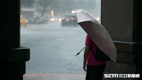 rain(記者陳弋攝影)
