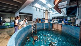 夜宿海生館以海洋教育為宗旨　帶領民眾深度體驗海洋生態（業配勿用）
