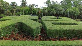 台大(記者陳弋攝影)