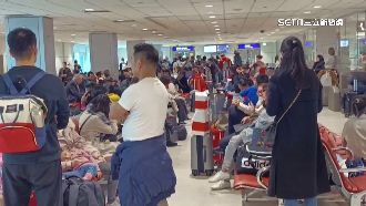 颱風亂航班申請理賠　產險公會2提醒