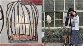 ▲V和Jennie。（圖／翻攝自微博）