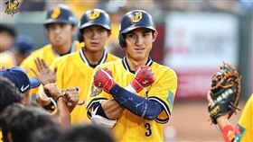 ▲陳文杰。（圖／中信兄弟球團提供）