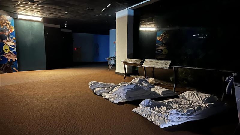 夜宿海生館卻熄燈「看嘸魚」…館方回應了