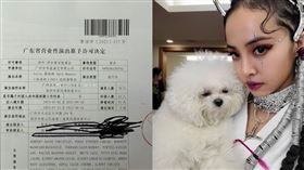 蔡依林。（圖／翻攝自微博）