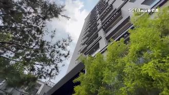 夢見蛇怎麼做？專家教你如何解析