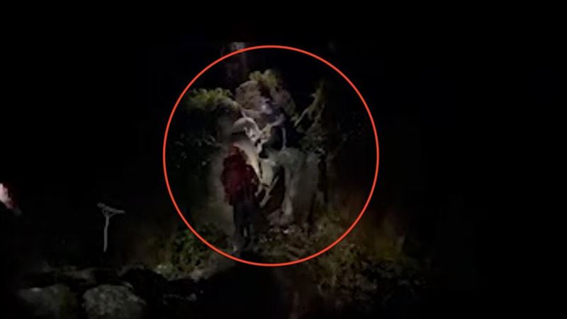 2女1男攀北插天山下不來　警消摸黑救援