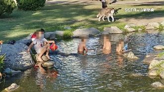 生態景觀池成泳池區　直擊孩童泡水遊玩