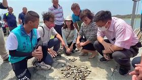 蘇治芬會勘雲林沿海養殖文蛤災損狀況民進黨立委蘇治芬（右2）23日與漁業署、水試所及地方民意代表會勘雲林縣沿海養殖文蛤災損狀況，盼縣府及農委會儘快啟動災損認定，讓漁民可安心重新養殖。（民眾提供）中央社記者蔡智明傳真  112年5月23日