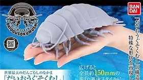 大王具足蟲扭蛋、絨毛玩偶。（圖／翻攝自網路、蝦皮）