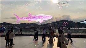基隆港東3東4旅客服務中心舉辦為期1個月的「粉色海洋，浪漫一夏」粉色鯨鯊AR快閃活動。（圖／叁肆行提供）