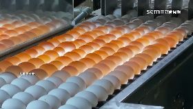 r泰國蛋發霉2400