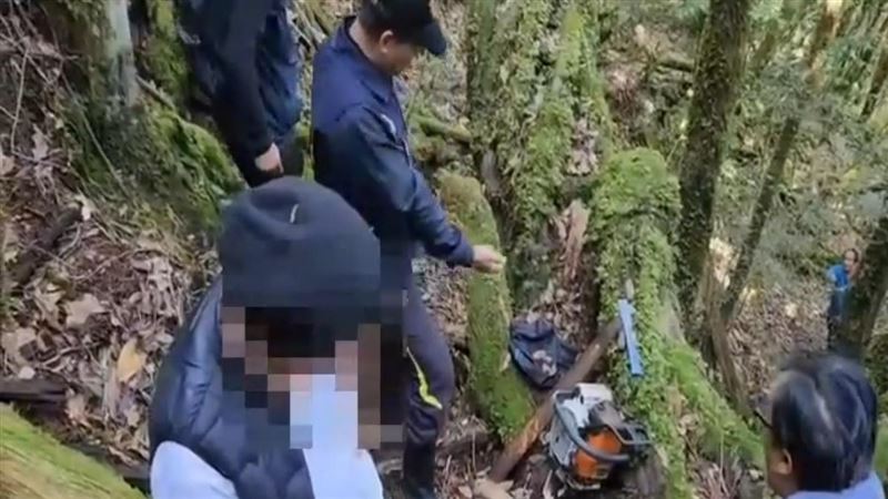 山老鼠偽裝登山客　盜伐遇山難求助反露餡