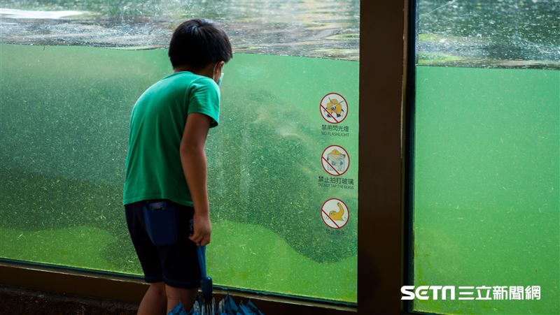 別撲空！台北動物園宣布「連續休園10天」