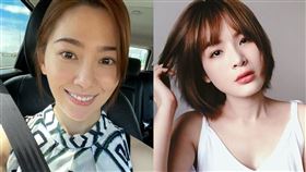 許藍方,陳沂（圖／翻攝自臉書）