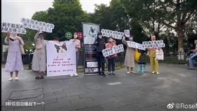 我為奶牛貓發聲，圖翻攝自微博