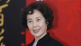 鄭振瑤（翻攝中國電影報導微博）