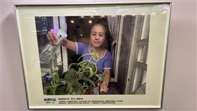 乳癌病友陳乙先以作品「養育生命」獲得癌症病友組佳作。（圖／記者簡浩正攝影）