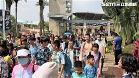 麗寶樂園馬拉灣開園。（圖／麗寶樂園提供）