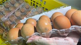 泰國產雞蛋發霉  桃園市府稽查開罰（1）台中市賣場日前出現發霉雞蛋，產地為泰國，來源是位於桃園市的立群農產品有限公司，桃市衛生局26日前往查核，查獲229盒產地泰國的發霉洗選雞蛋等。（桃園市衛生局提供）中央社記者葉臻傳真  112年5月27日