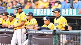 ▲彭政閔督軍。（圖／中信兄弟球團提供）