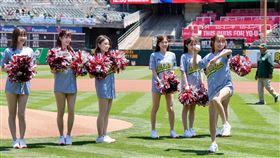 ▲樂天女孩運動家台灣日表演。（圖／樂天桃猿球團提供）