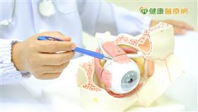 賴泓吉醫師表示，若青光眼未受到妥善治療，視神經將會逐漸缺損凋亡，視線範圍隨著時間慢慢縮小，衝擊