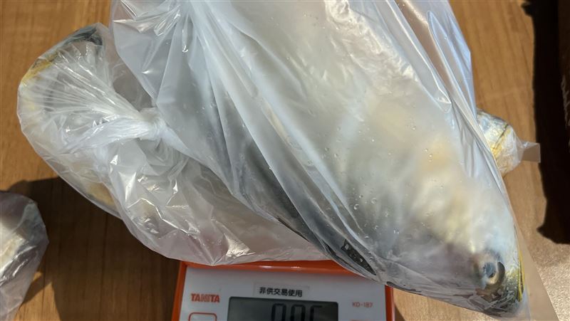 北市知名川菜料理　黃魚遭驗出豬用殺菌劑