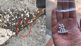 星巴克,BB彈,林智鴻